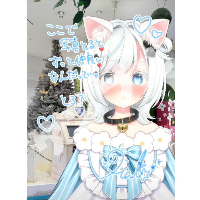 パターン1の画像