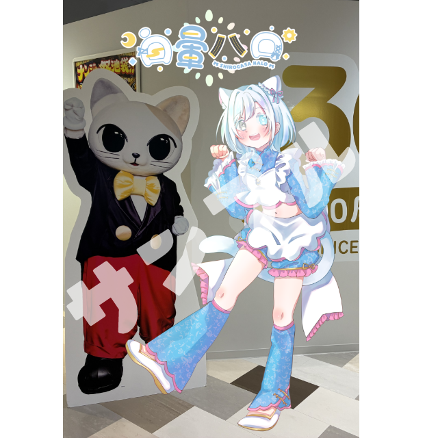 パターン4の画像