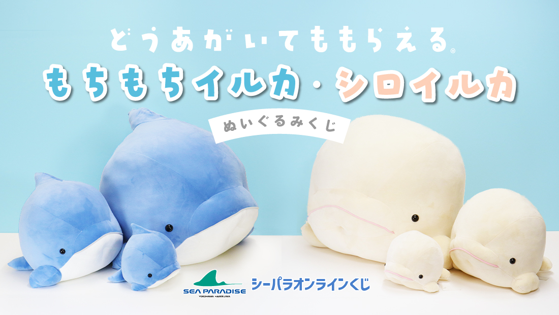 シーパラくじ　もちもちイルカ・シロイルカの画像