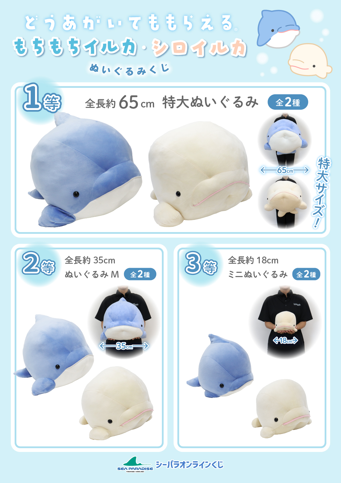 シーパラくじ　もちもちイルカ・シロイルカの紹介画像