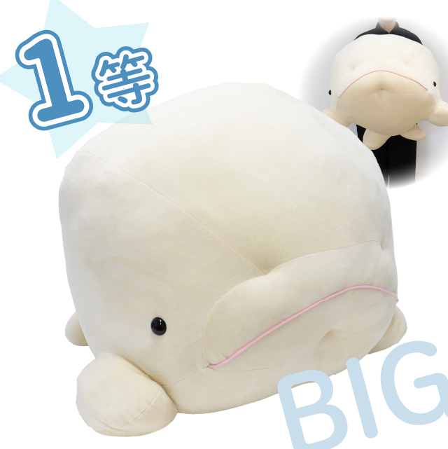 シロイルカの画像