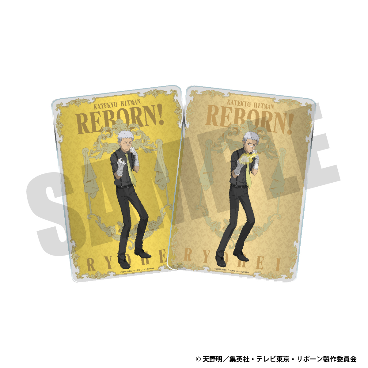 チェンジングアクリルパネル（笹川了平）の画像