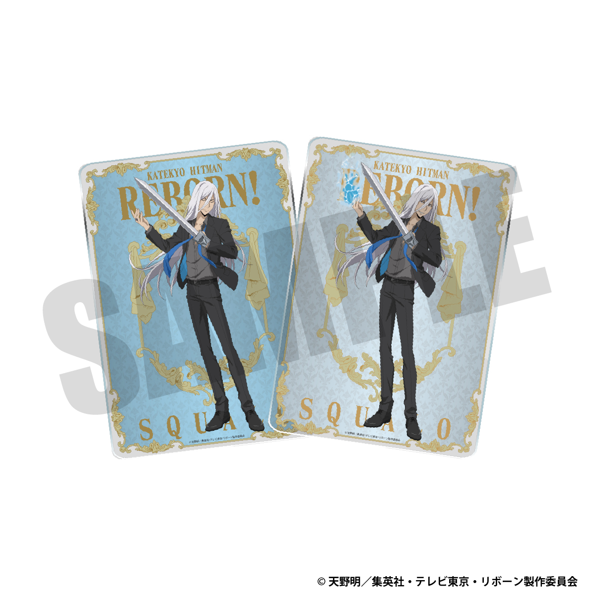 チェンジングアクリルパネル（スペルビ・スクアーロ）（10年後）の画像